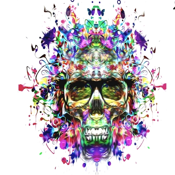 Skull abstract 8x10 picture w/ black fram - Picture 1 of 1